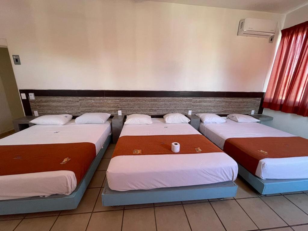 Hotel Albatros Пеньита-де-Хальтемба Экстерьер фото