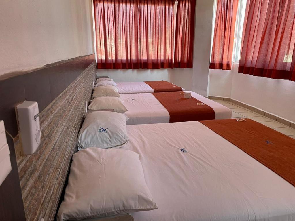 Hotel Albatros Пеньита-де-Хальтемба Экстерьер фото
