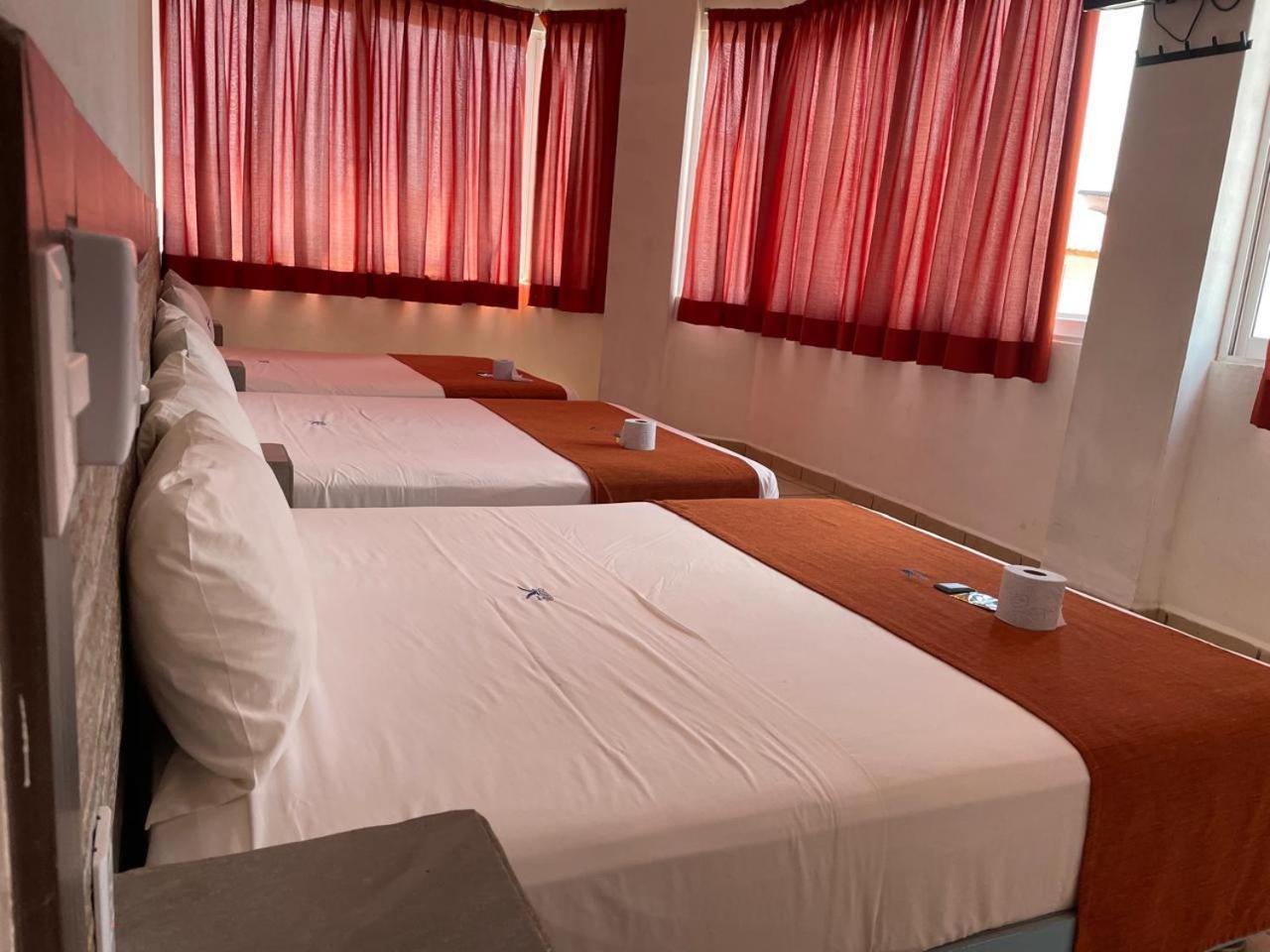 Hotel Albatros Пеньита-де-Хальтемба Экстерьер фото
